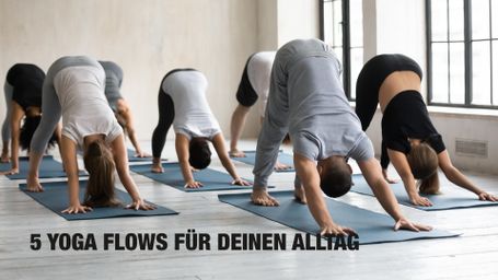 5 Yoga Flows für Deinen Alltag