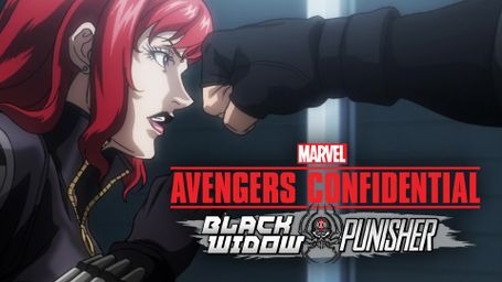 Avengers Confidential: Black Widow & Punisher