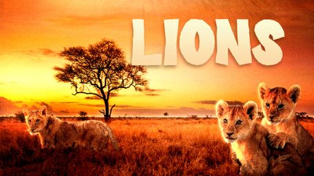 Lions