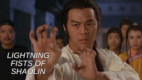 Lightning Fists of Shaolin