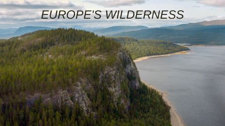 Europe's Wilderness