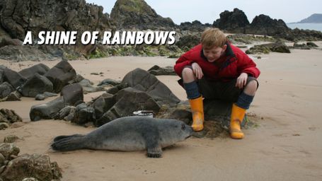 A Shine of Rainbows