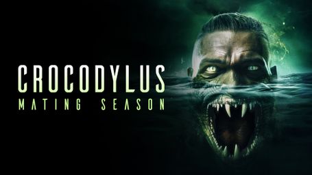 Crocodylus: Mating Season