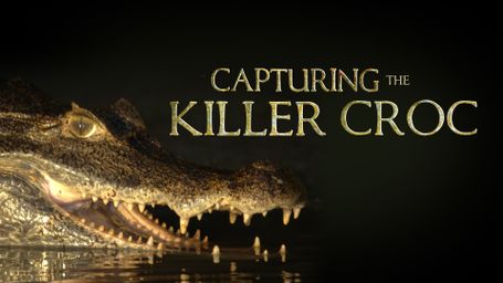 Capturing the Killer Croc