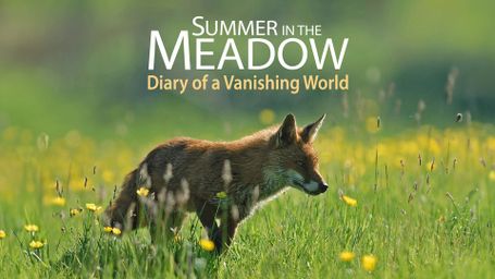 Summer in the Meadow: Diary of a Vanishing World