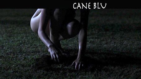 Cane Blu