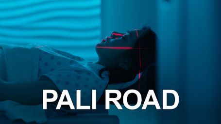 Pali Road