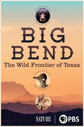Big Bend: The Wild Frontier of Texas