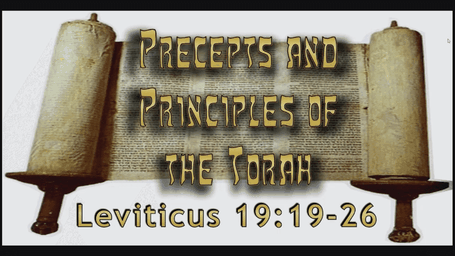 Precepts & Principles of the Torah - Leviticus 19:19-26