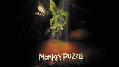 Monkey Puzzle
