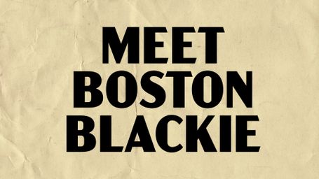 Meet Boston Blackie