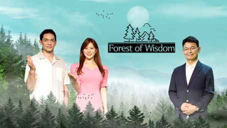 Forest of Wisdom