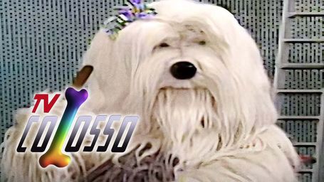 TV Colosso