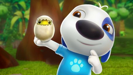 What to Do with an Egg
