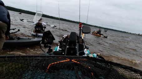 Madness in Miramichi