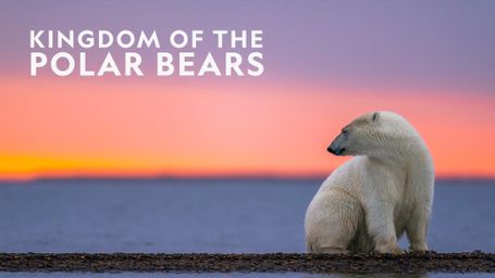 Kingdom of the Polar Bears