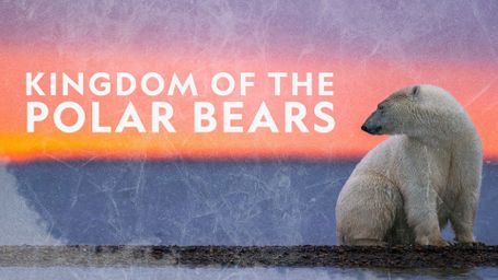 Kingdom of the Polar Bears