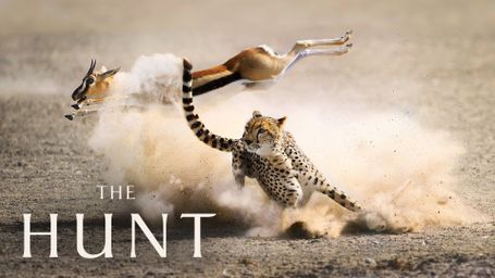 The Hunt