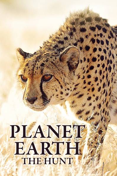 How to watch and stream Planet Earth: The Hunt - 2015-2022 on Roku