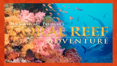 Coral Reef Adventure