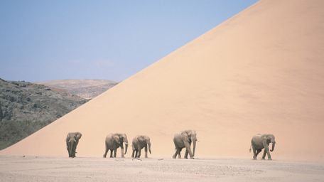 Deserts