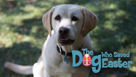The Dog Who Saved Easter