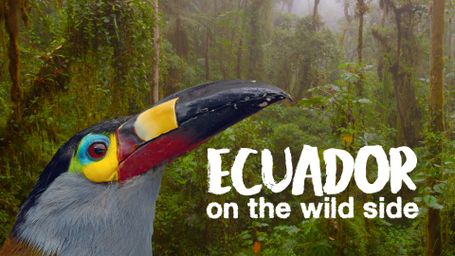 Ecuador: On the Wild Side