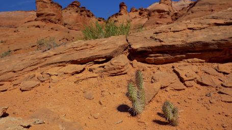 Slot Canyons of Utah