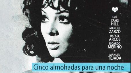 Cinco almohadas para una noche