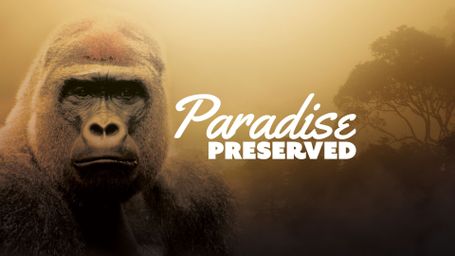 Paradise Preserved