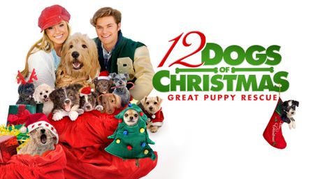 12 Dogs of Christmas: Great Puppy Rescue