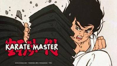 How to watch and stream Karate Master - 1973-2021 on Roku
