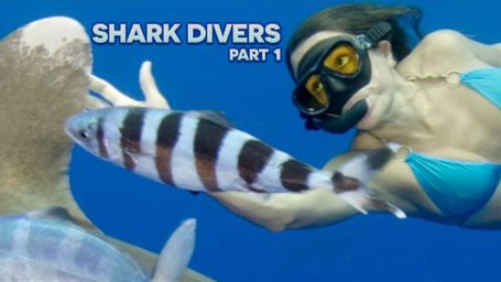 Shark Divers Part 1