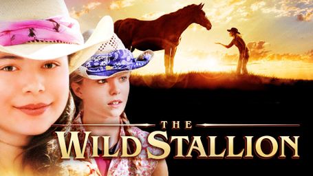 The Wild Stallion