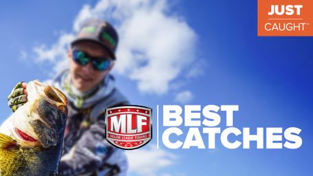 Just Caught: MLF Best Catches