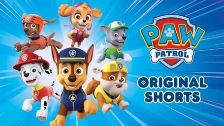 PAW Patrol Shorts