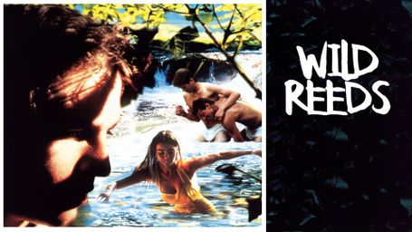 Wild Reeds