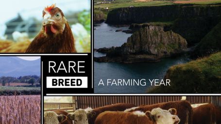 Rare Breed: A Farming Year