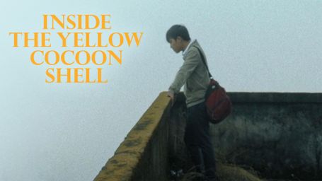 Inside the Yellow Cocoon Shell
