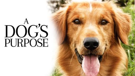 A Dog's Purpose