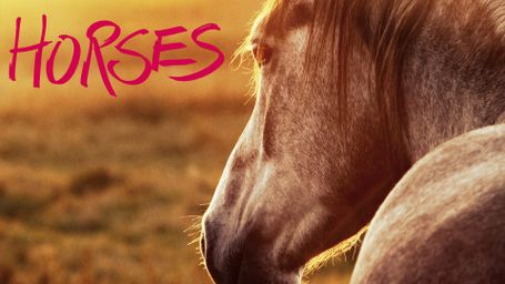 Horses: Ride Around The World
