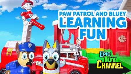 Paw Patrol and Bluey Learning Fun