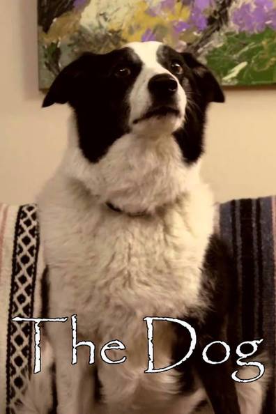 How to watch and stream The Dog - 2014 on Roku