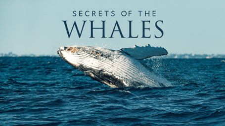 Secrets of the Whales