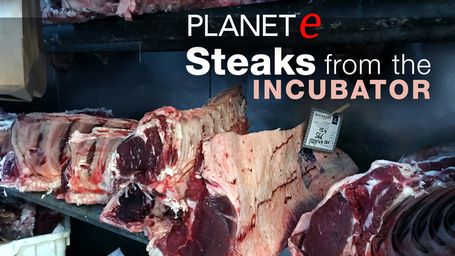 Planet e.: Steaks from the Incubator