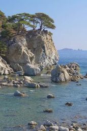Pine Bays of Gamov Peninsula Primorskiy Krai, Russia - Nature Relax Vide