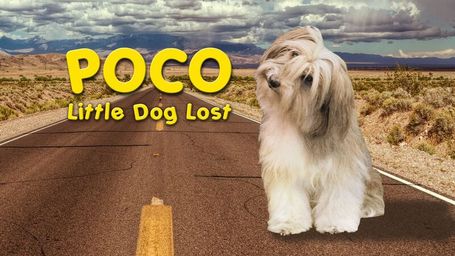 Poco