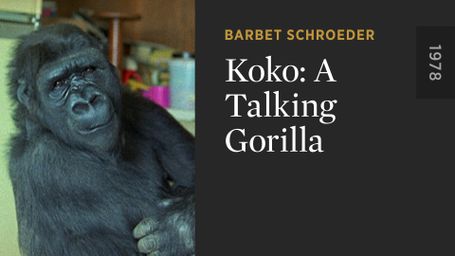 Koko: A Talking Gorilla