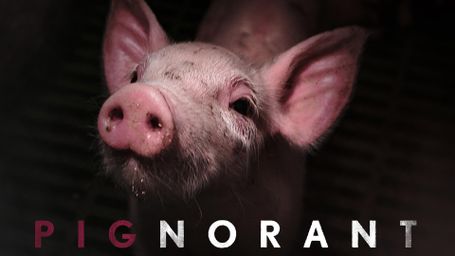 Pignorant