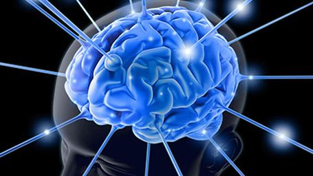 Plasticity, Brain Training, and Beyond